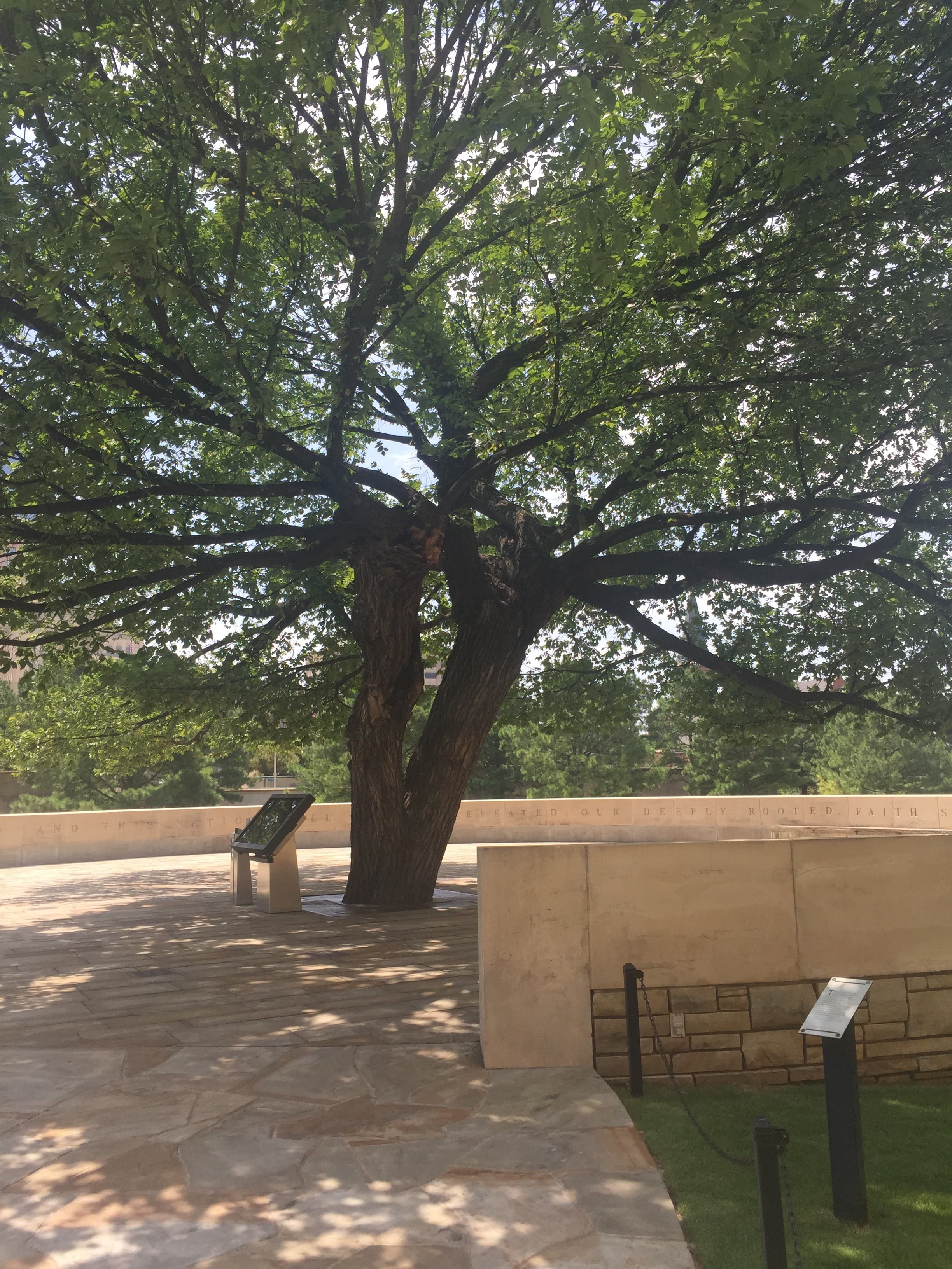 Pictured here is "The Survivor Tree," located in the heart of Oklahoma City, a symbol of resilience after the 1995 bombing. Spencer and I visited it during the months before my amputation, when we traveled for my pre-op visit. This image hung on the wall of my bedroom in the months following the amputation, serving as a constant reminder of hope and growth.