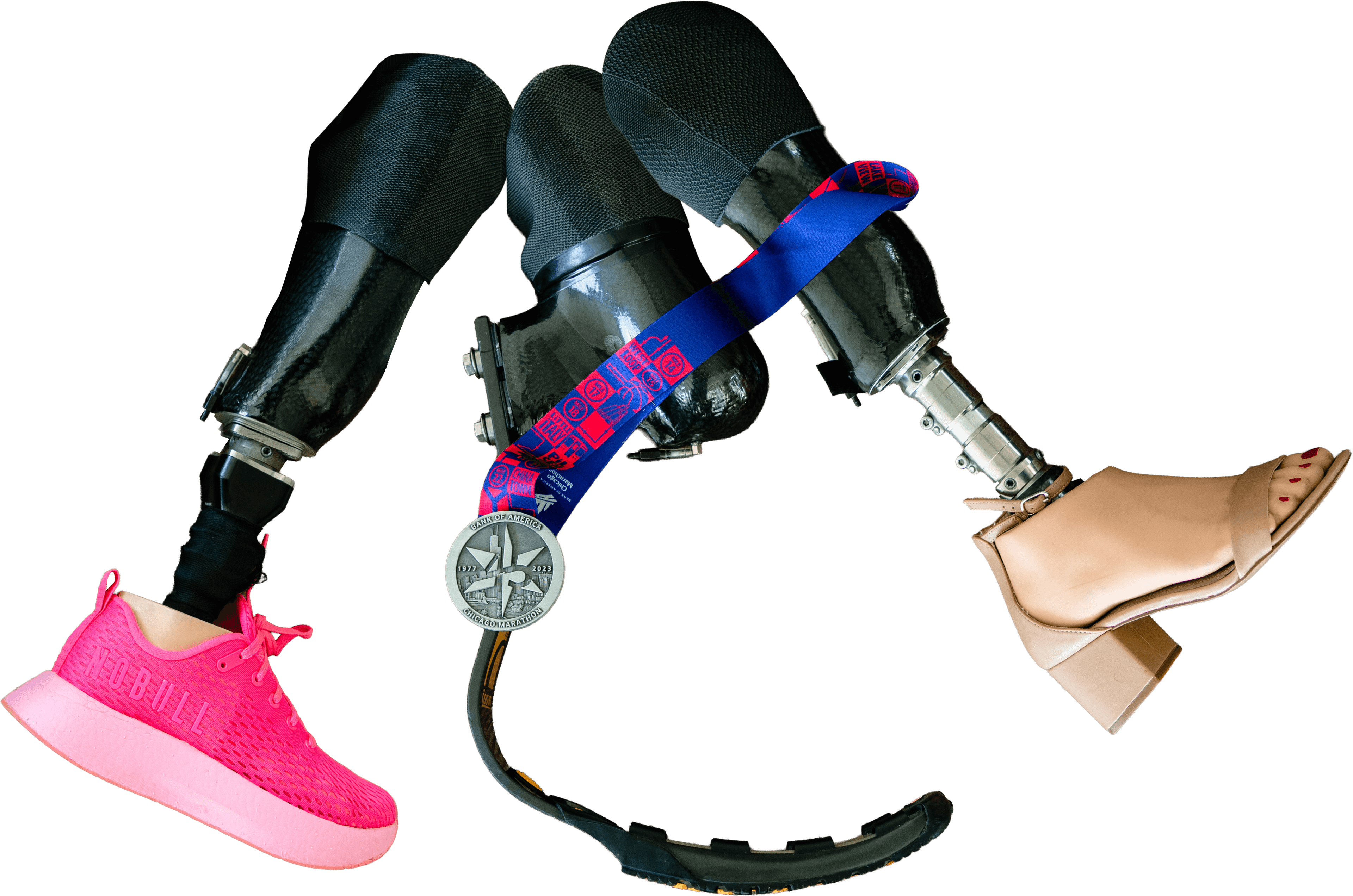 Liz Bursten portrait